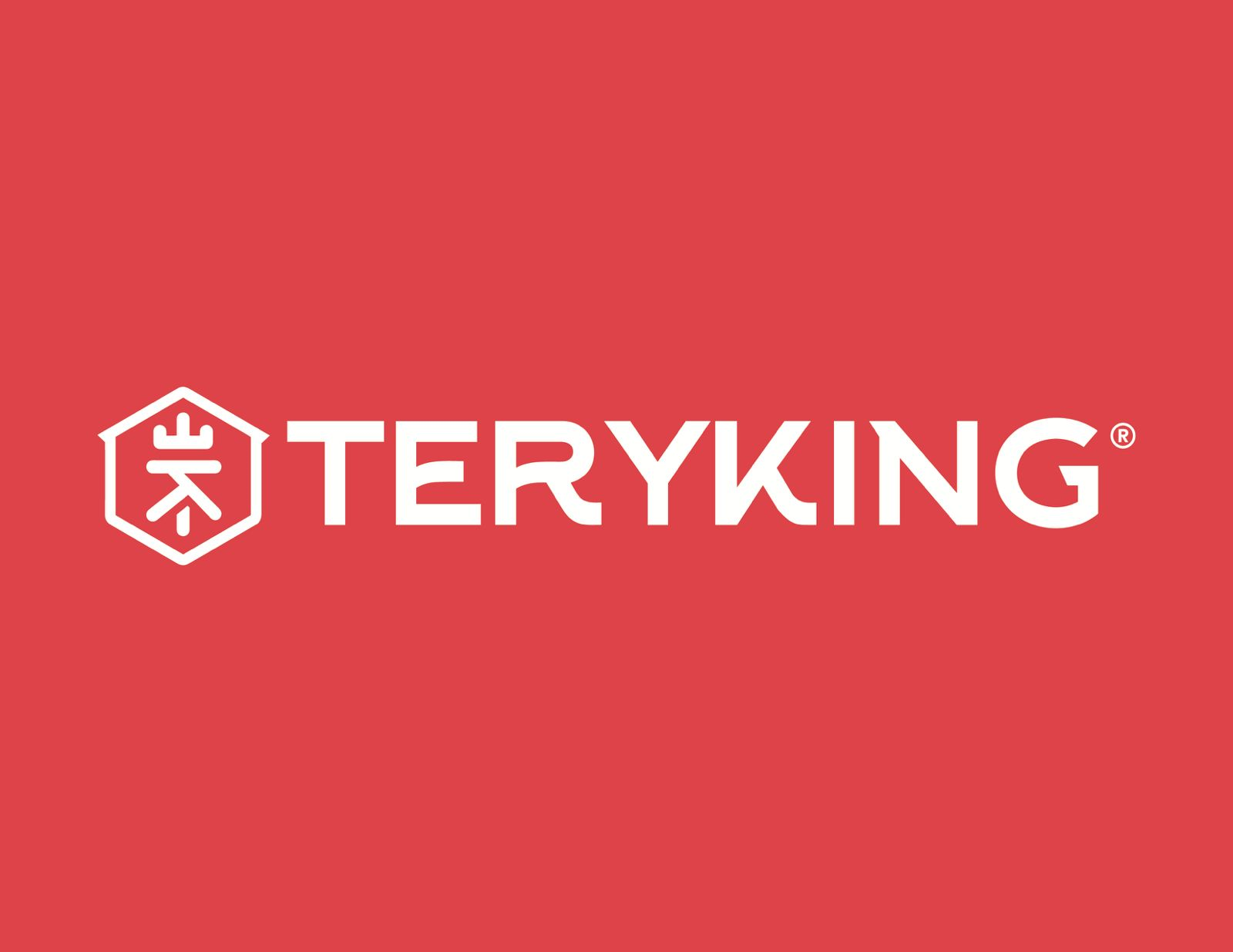 Logotipo de Teryking