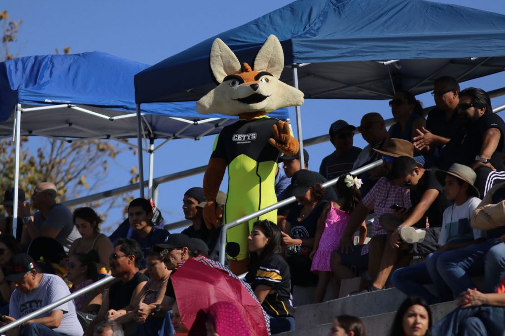 Quiénes Somos - CETYS Deportes