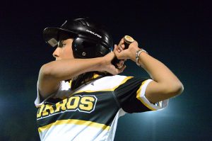 Softbol-estadisticas