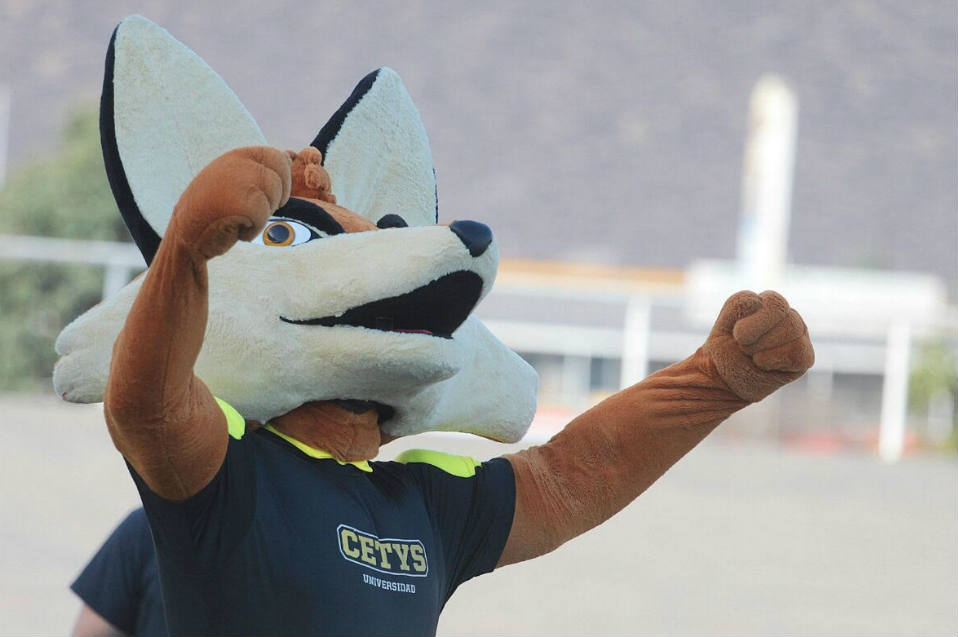 Nombre y mascota - CETYS Deportes
