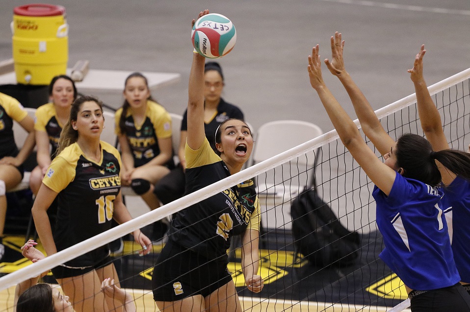 Zorros de voleibol femenil y varonil ya tienen fecha para volver al campo  de juego - CETYS Deportes