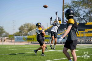 Black and Yellow Day