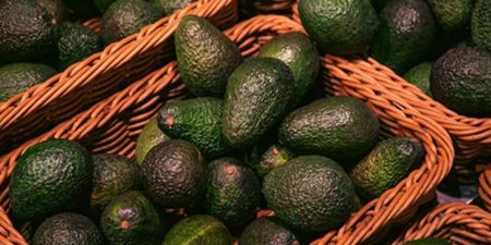 <strong>The Evolving Landscape of the Mexican Avocado Industry: Navigating Sustainability and Innovation</strong>