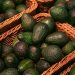 <strong>The Evolving Landscape of the Mexican Avocado Industry: Navigating Sustainability and Innovation</strong>