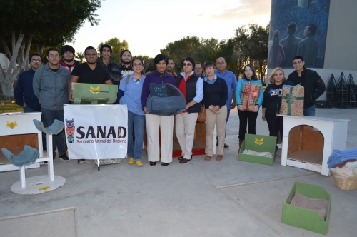 Donan casas para mascotas