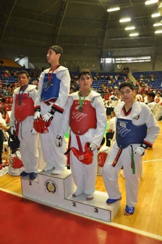 Triunfa en Taekwondo