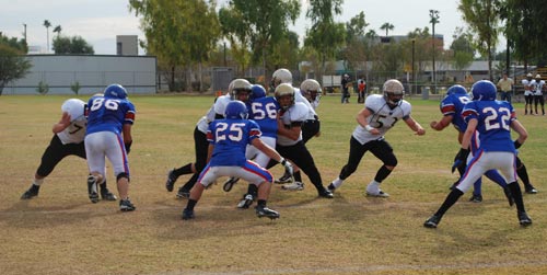 Zorros disputarán final de la OEFA