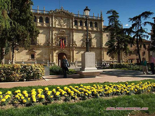 Cursa una materia de Posgrado en España
