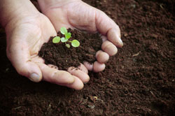 Iniciará Diplomado en Educación Ambiental