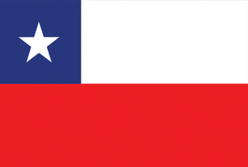 Vive un Curso de Verano en Chile