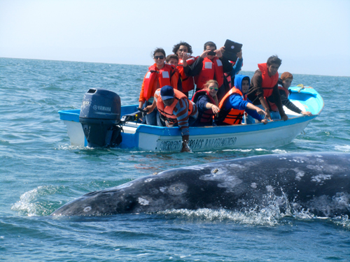Eco Trip 2014