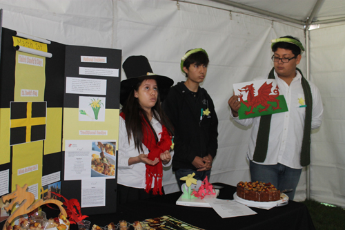 Festival de celebraciones tradicionales