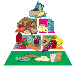 Inician Diplomado en Nutrición