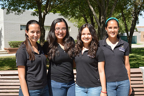 Proyectos para Jóvenes en Acción