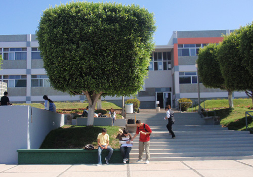 Preparatoria; Etapa Formativa para una Vida Exitosa