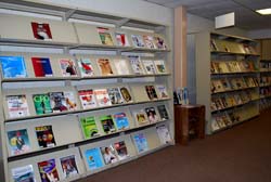 ¿Qué son las Publicaciones Periódicas?