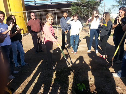 Reforestan el campus
