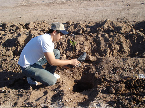 Reforestan Áreas de CETYS