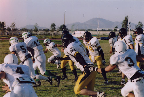 Zorros Arrasan con Marcadores