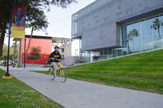 Ley ciclismo será una medida sustentable