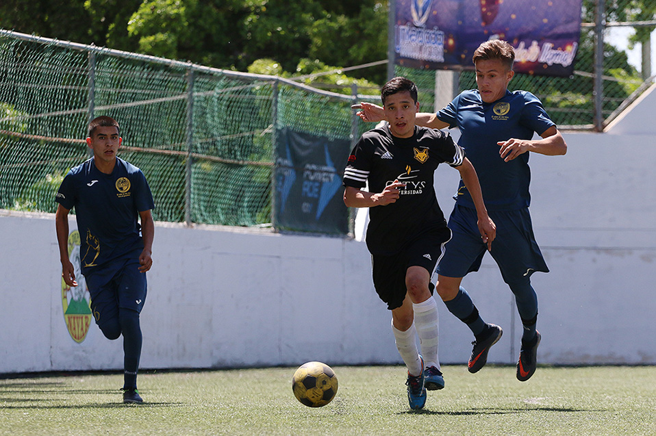 Llegan Zorros a Universidad Nacional 2017