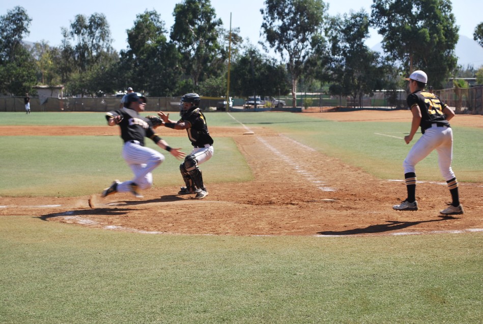 CETYS Tijuana estrenará categoría de beisbol en octubre