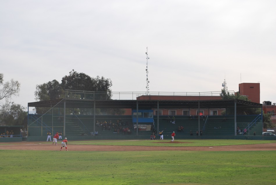 Beisbol adolescente en un parque de adultos jóvenes