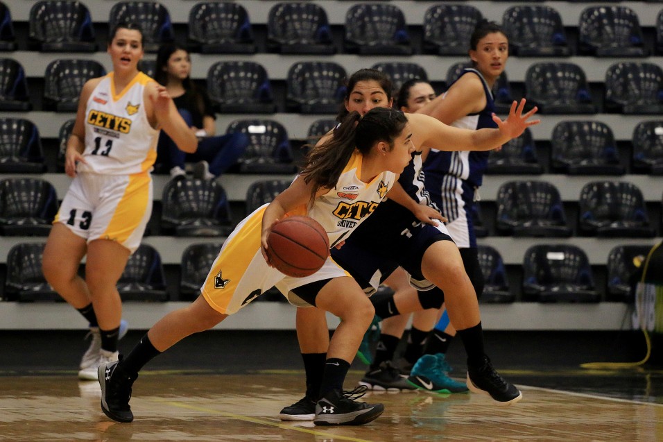 Zorros Femenil no frenan en época de posadas