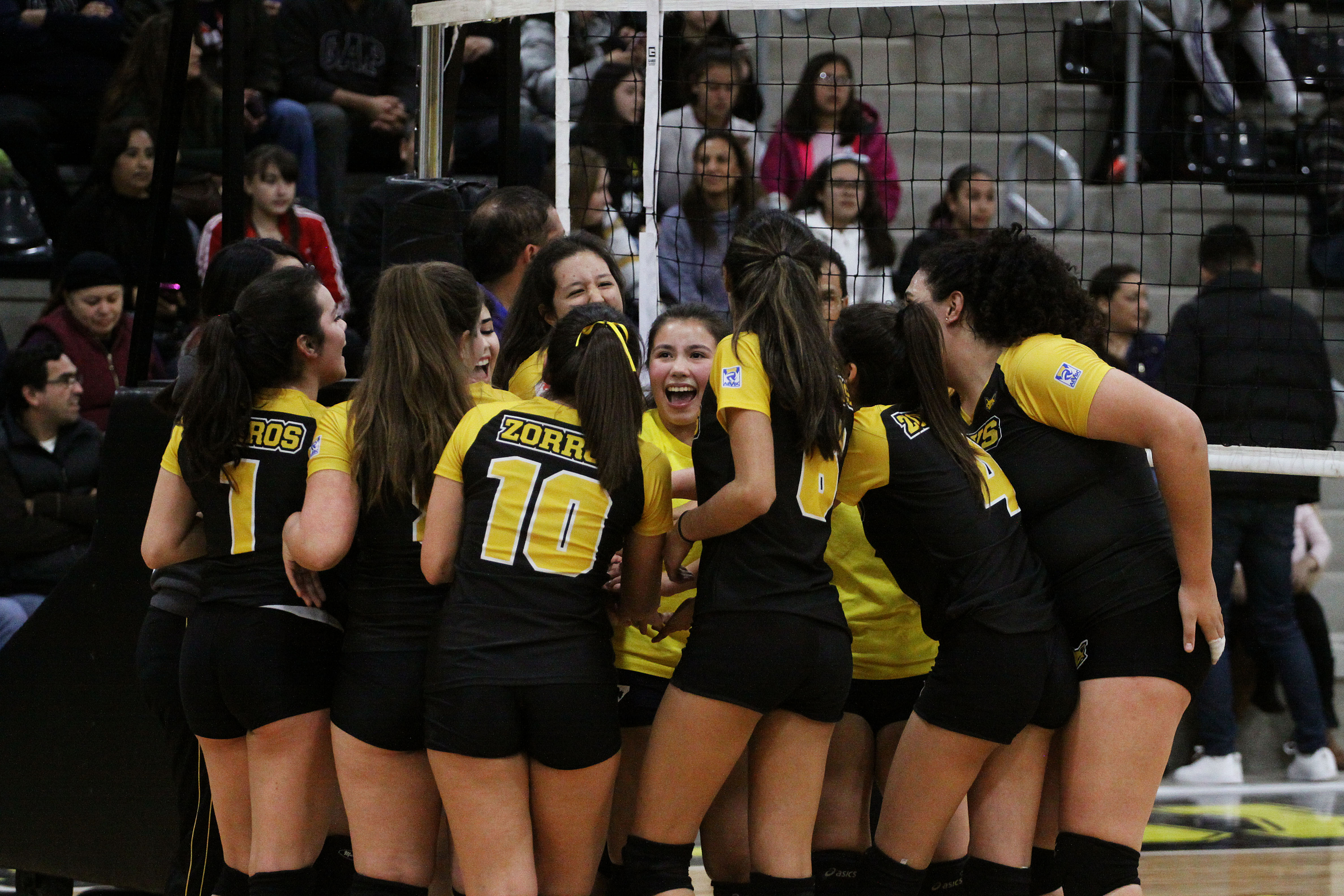 Zorros femenil, campeonas del Cibavol