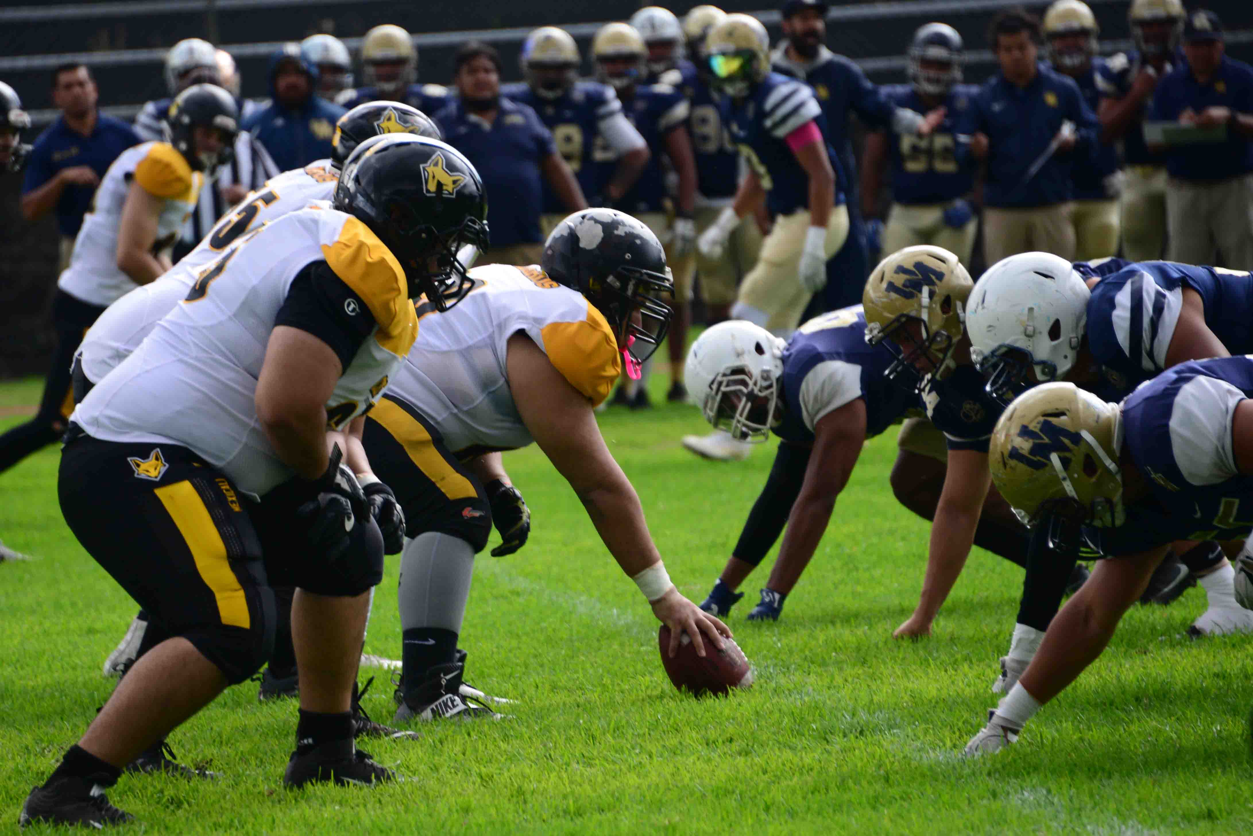 Zorros visitaron a Pumas de la UNAM y Águilas Blancas del IPN