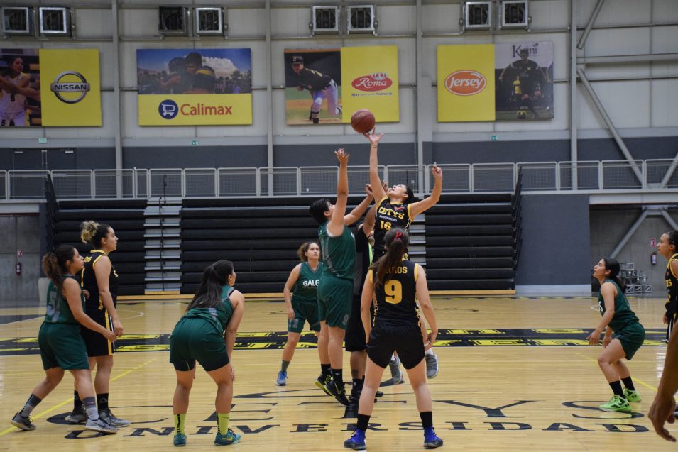 Inició la pretemporada de Zorros Femenil rumbo a Liga ABE