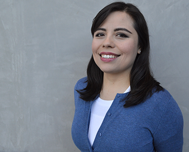 Discurso y simulación del desarrollo sostenible