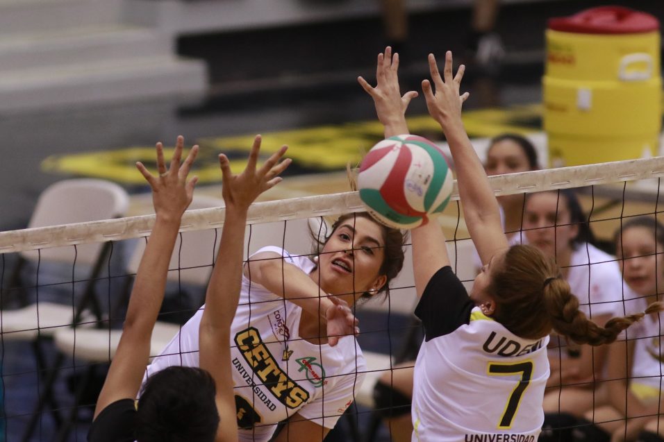 Voleibol femenil de CETYS hace un balance tras debutar en Primera Fuerza