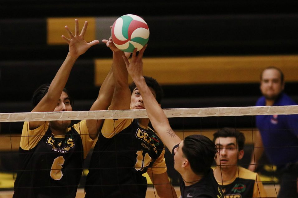 Zorros toman con calma su racha invicta en Voleibol CONADEIP