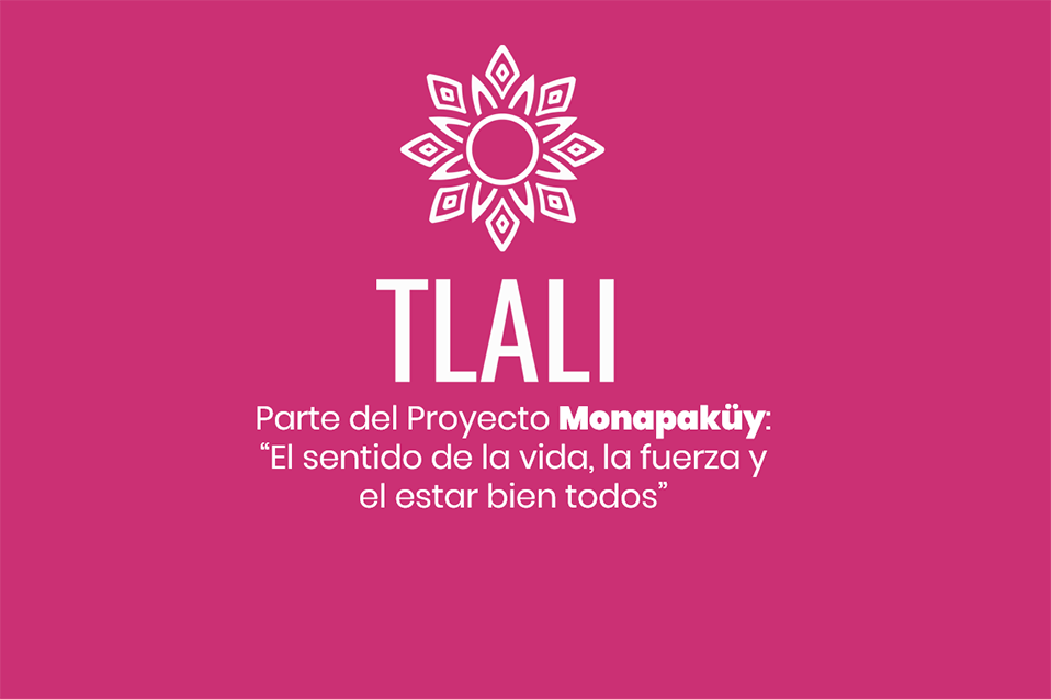 Ayudan a comunidades indígenas a emprender con el proyecto “Tlali”