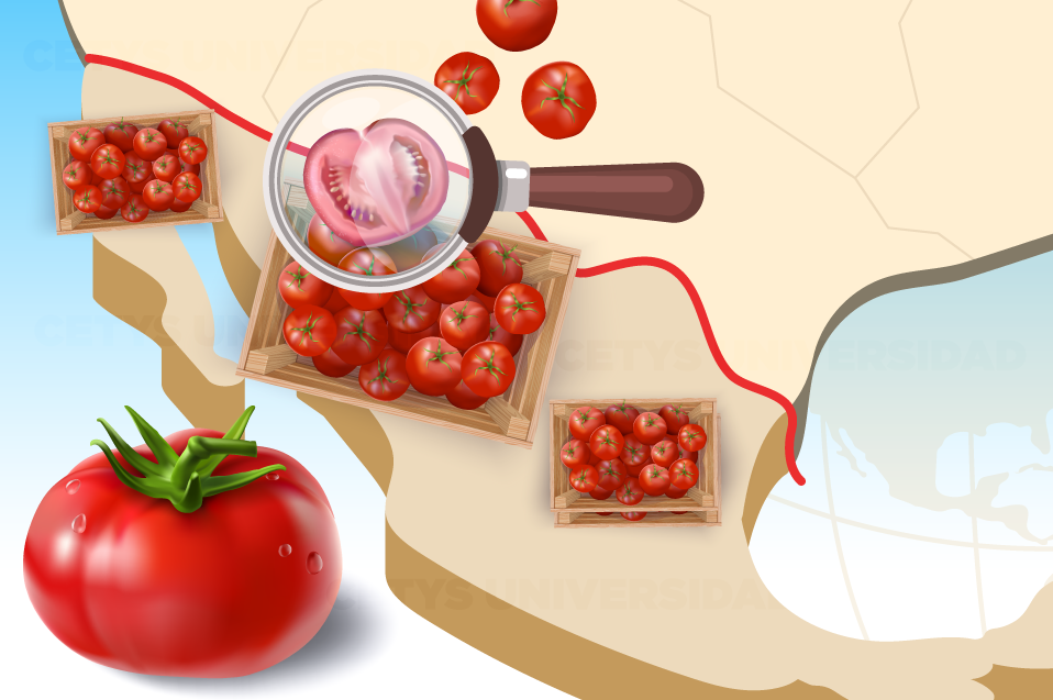 Medidas al tomate mexicano afecta costos de logística de exportación a EUA
