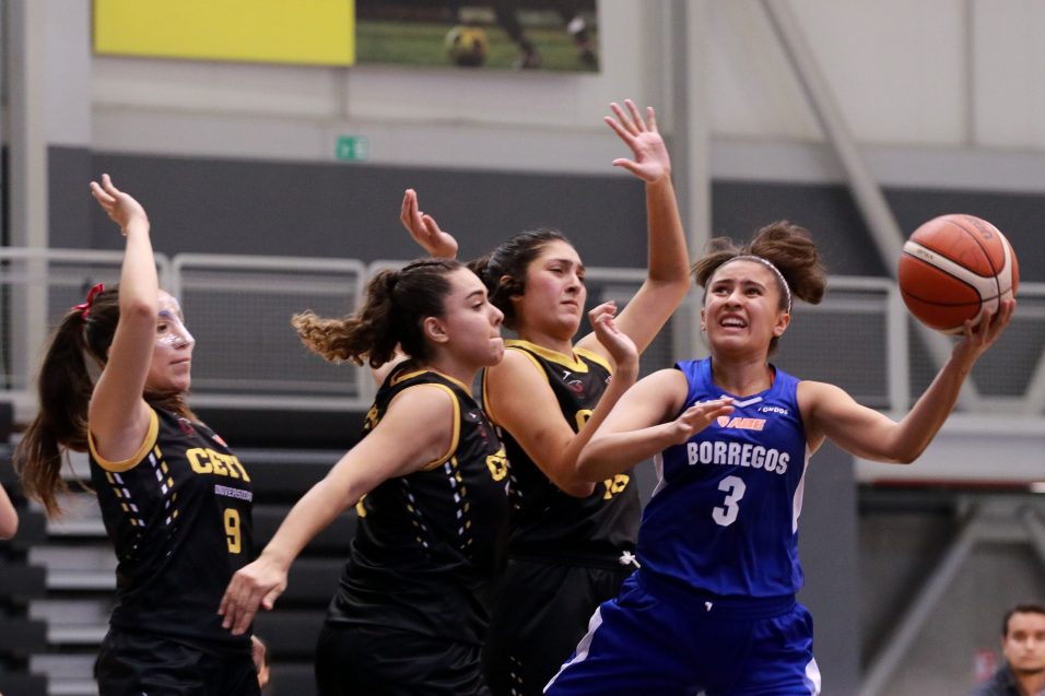 Presentación ganadora de Zorros Femenil como locales