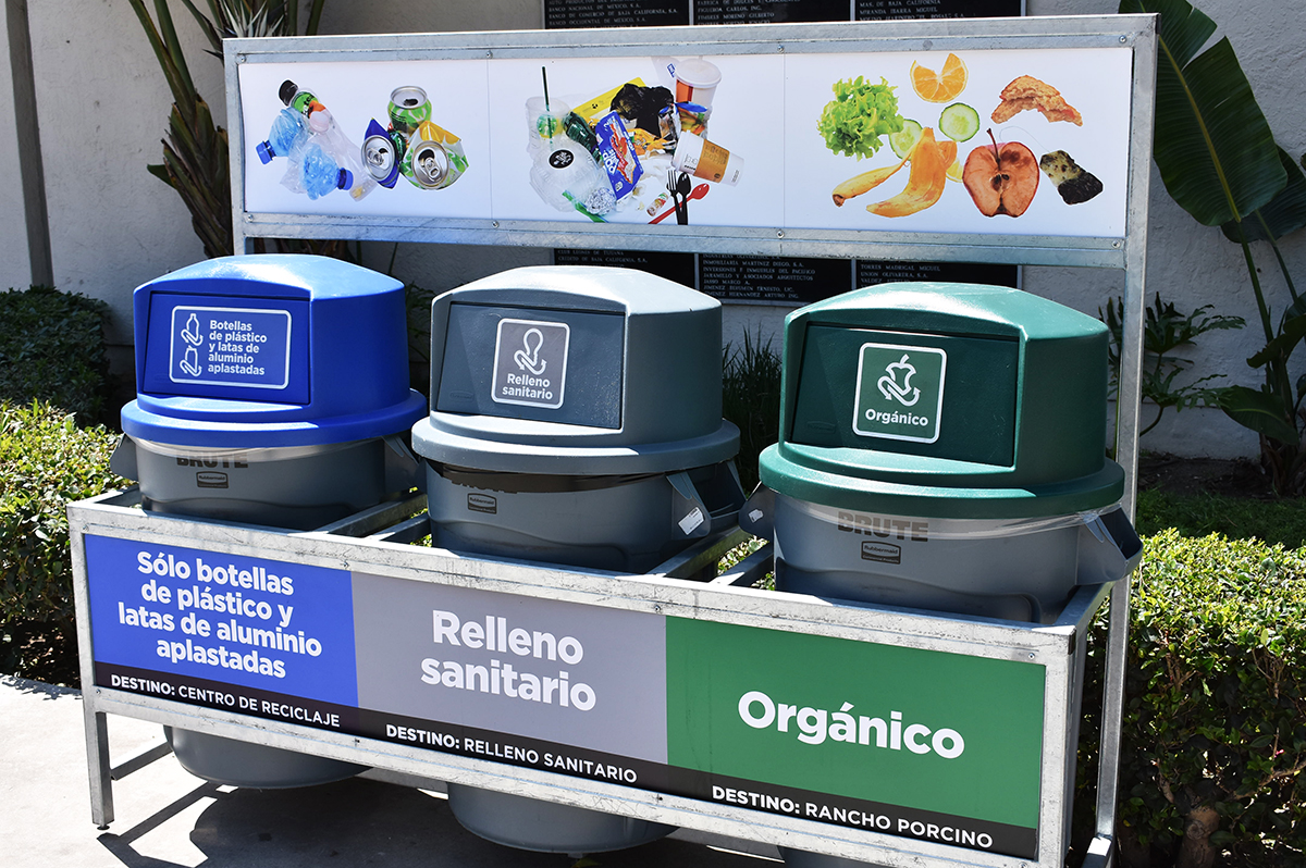 CETYS Zero Waste cumple un año y con ello ha salvado 62 árboles de la deforestación