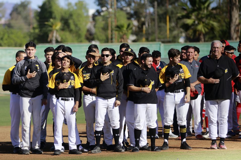 Zorros Tijuana en buen momento para hacer correcciones sobre béisbol