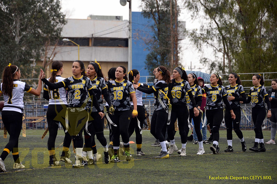 Torneo estatal Tj Flags