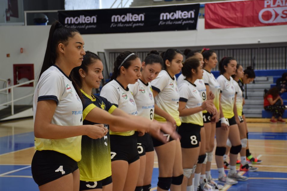 Zorros Femenil reaparecen este fin de semana en el voleibol nacional