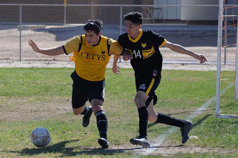 Exitosa concentración de soccer en Mexicali