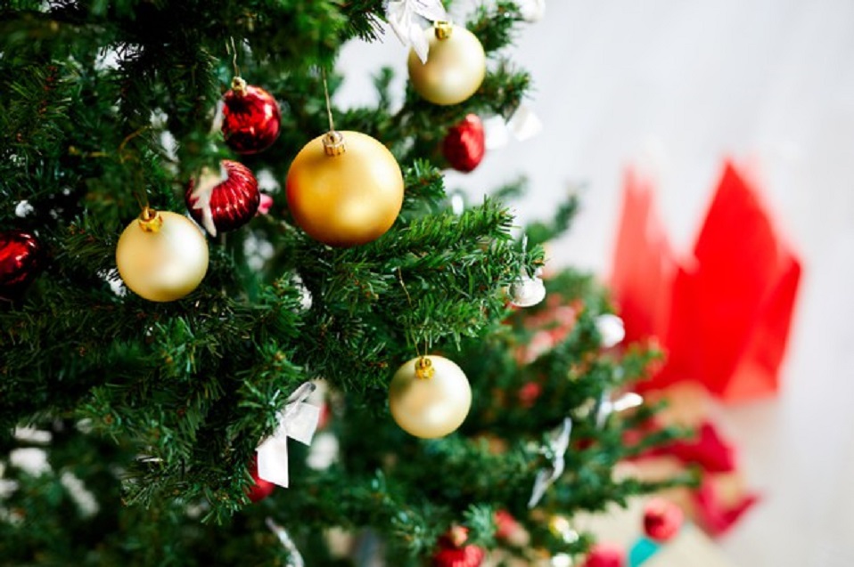 El dilema del árbol navideño: ¿existe una opción realmente eco-friendly?