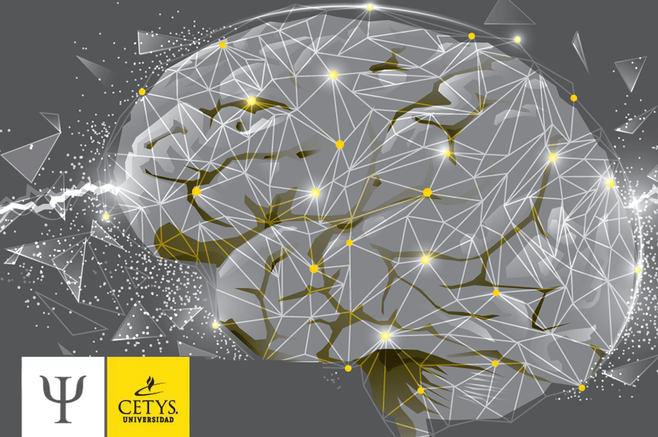 La comprensión del cerebro cobra más relevancia ahora con la pandemia