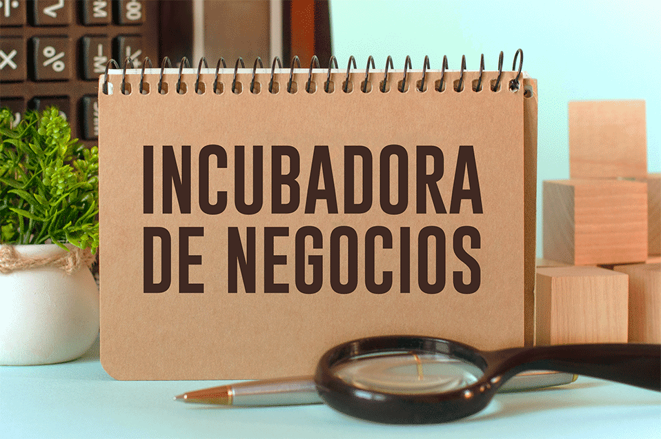 ¿Cómo funciona una Incubadora de Negocios y cuándo es de Alto Impacto?