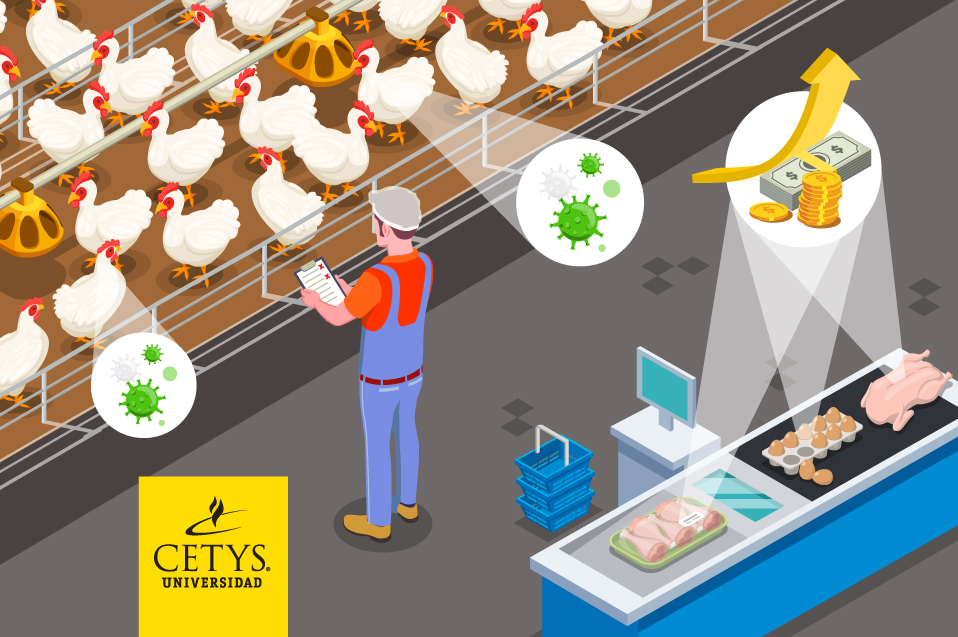 Sin medidas eficaces en control de gripe aviar vendrá aumento en pollo y huevo: Experto CETYS