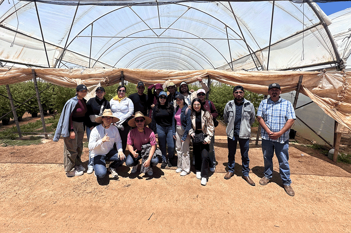 Alumnos de la Lic. en Inteligencia de Negocios e Innovación exploran la competividad global de la Agroindustria de BC