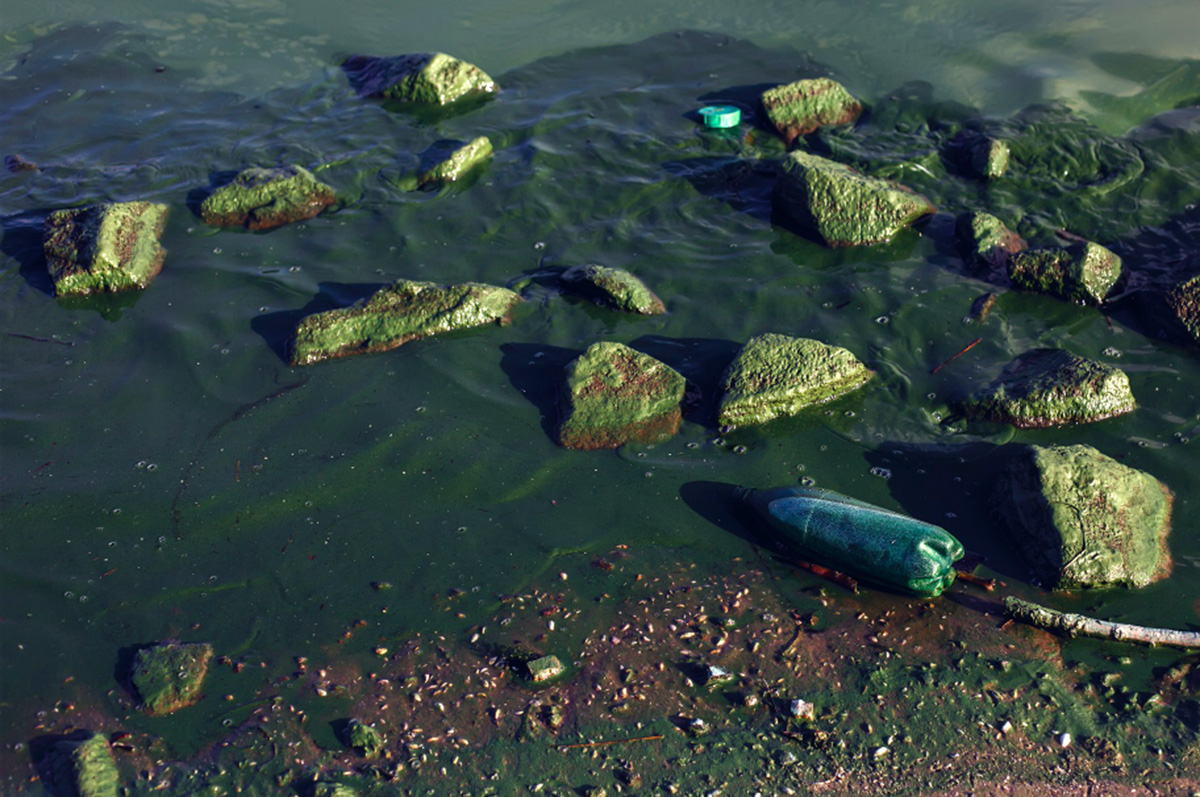 Tijuana requiere de más esfuerzos locales para mitigar contaminación binacional en el océano: Experto CETYS
