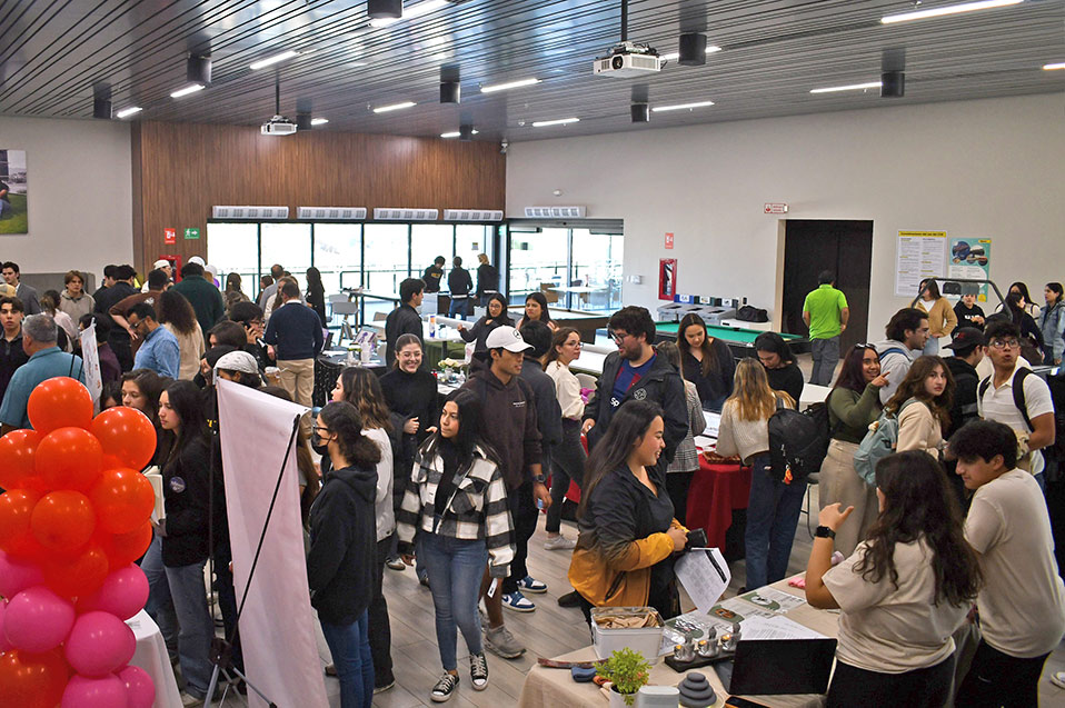 Estudiantes de Negocios Internacionales Global Program llevan a cabo “Job-a-Palooza” con proyectos laborales innovadores