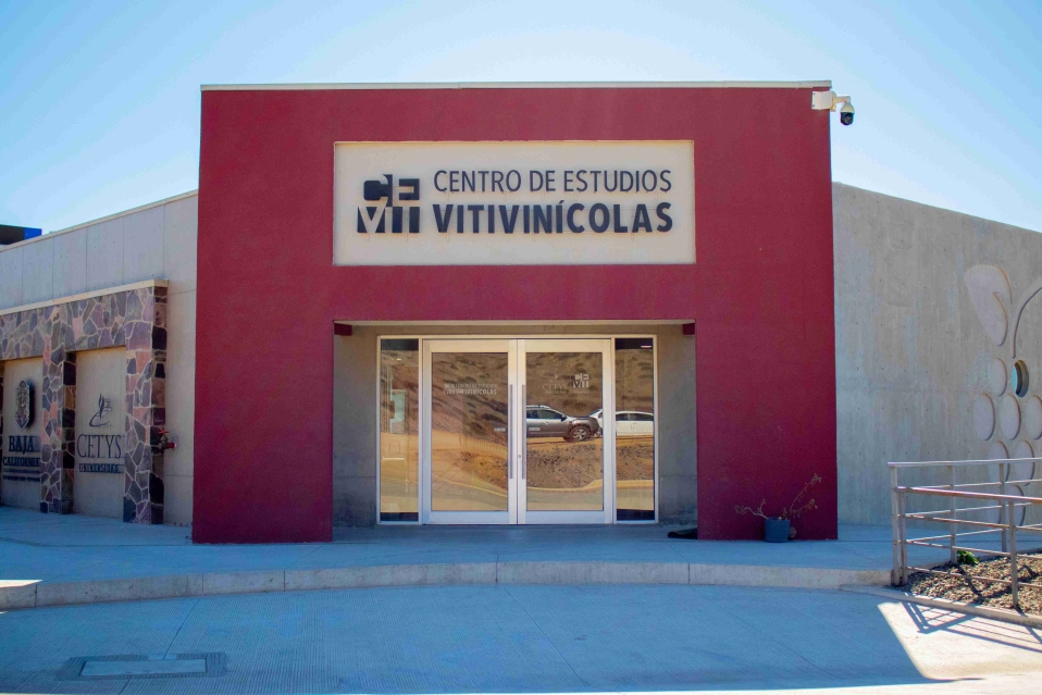 CETYS impulsa la profesionalización del sector vitivinícola en México con una nueva maestría de alcance global